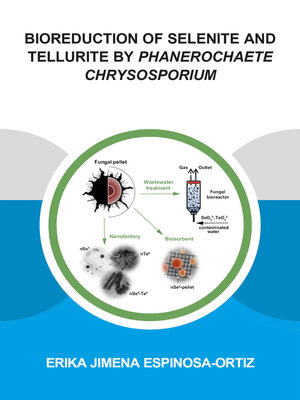 cover image of Bioreduction of Selenite and Tellurite by Phanerochaete Chrysosporium